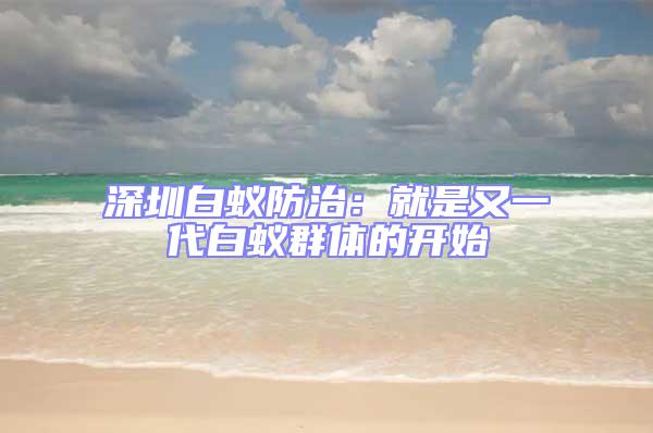 深圳白蚁防治：就是又一代白蚁群体的开始