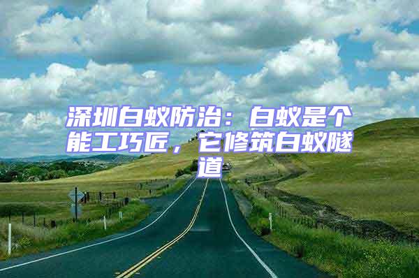 深圳白蚁防治：白蚁是个能工巧匠，它修筑白蚁隧道