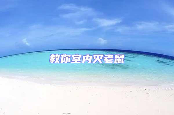 教你室内灭老鼠
