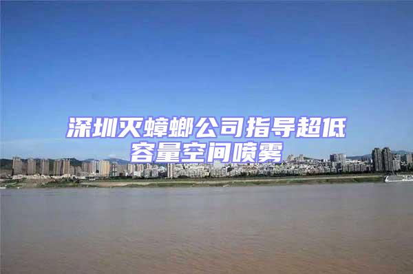 深圳灭蟑螂公司指导超低容量空间喷雾