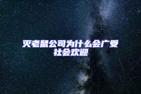 灭老鼠公司为什么会广受社会欢迎