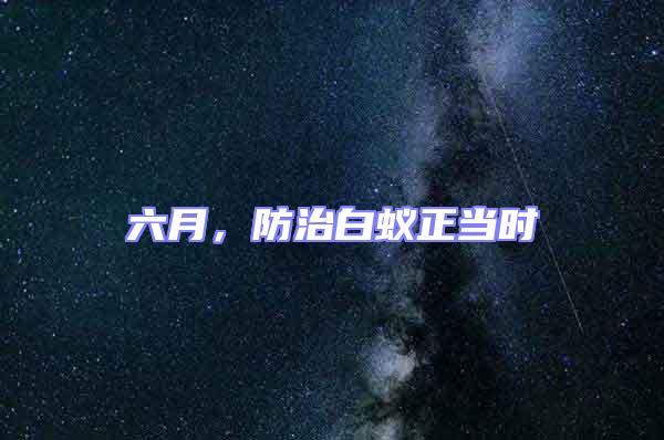 六月，防治白蚁正当时