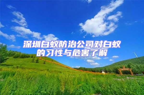 深圳白蚁防治公司对白蚁的习性与危害了解