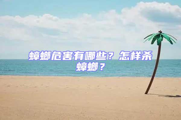 蟑螂危害有哪些？怎样杀蟑螂？