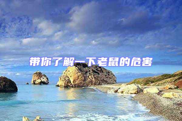 带你了解一下老鼠的危害
