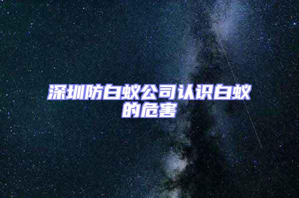 深圳防白蚁公司认识白蚁的危害