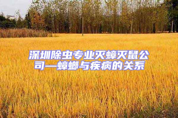 深圳除虫专业灭蟑灭鼠公司—蟑螂与疾病的关系