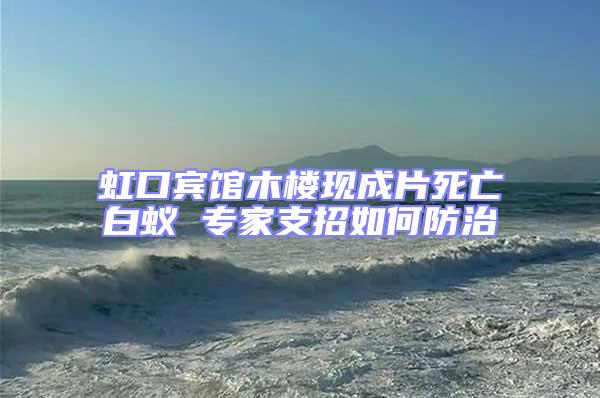 虹口宾馆木楼现成片死亡白蚁 专家支招如何防治