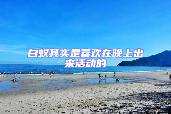 白蚁其实是喜欢在晚上出来活动的