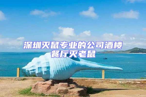 深圳灭鼠专业的公司酒楼餐厅灭老鼠