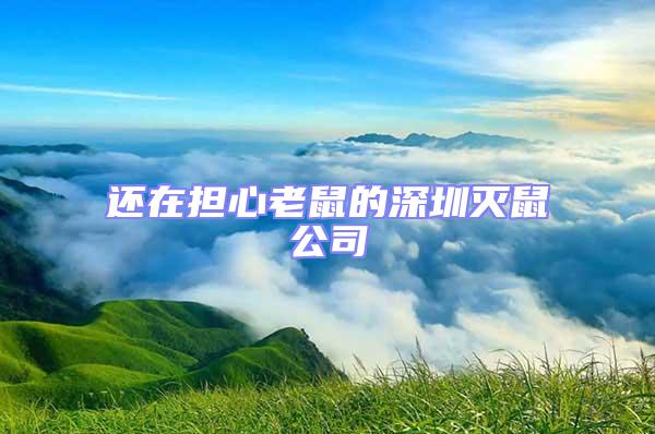 还在担心老鼠的深圳灭鼠公司