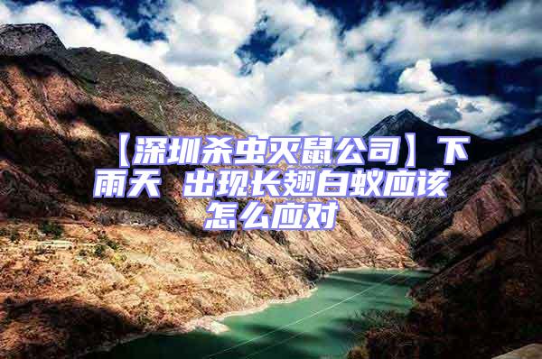 【深圳杀虫灭鼠公司】下雨天 出现长翅白蚁应该怎么应对