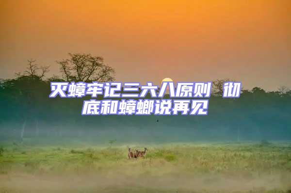灭蟑牢记三六八原则 彻底和蟑螂说再见