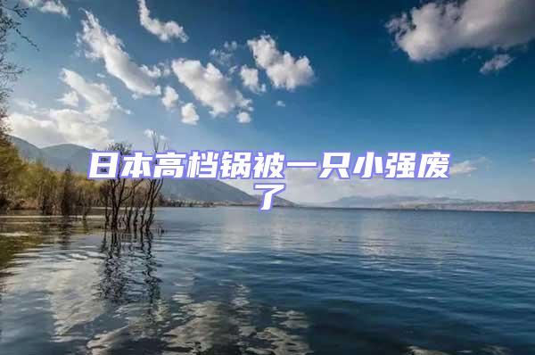 日本高档锅被一只小强废了