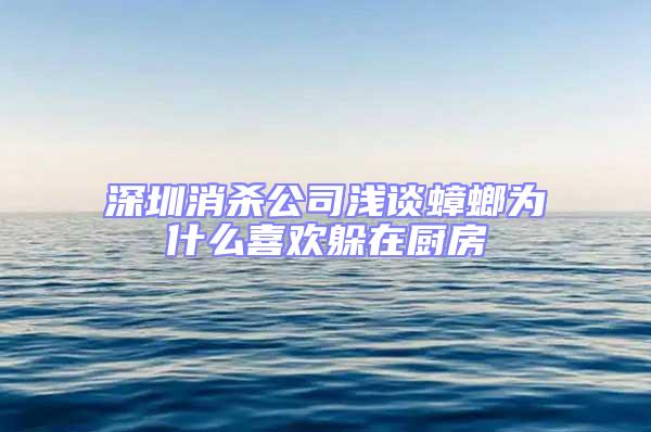 深圳消杀公司浅谈蟑螂为什么喜欢躲在厨房