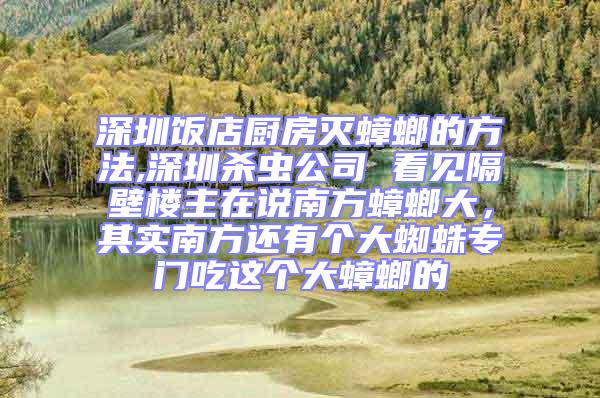 深圳饭店厨房灭蟑螂的方法,深圳杀虫公司 看见隔壁楼主在说南方蟑螂大，其实南方还有个大蜘蛛专门吃这个大蟑螂的