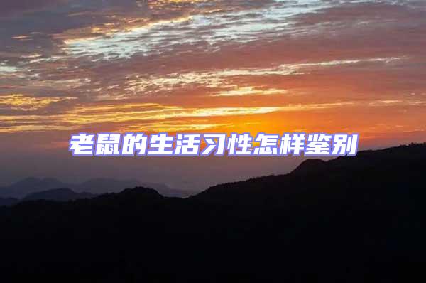老鼠的生活习性怎样鉴别
