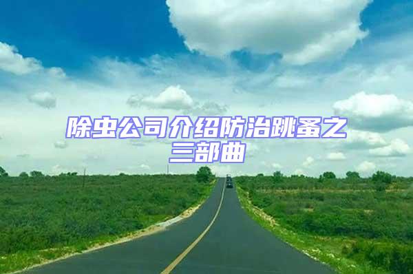 除虫公司介绍防治跳蚤之三部曲