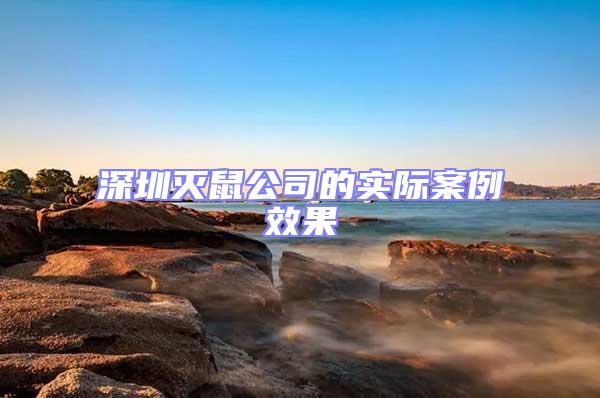 深圳灭鼠公司的实际案例效果