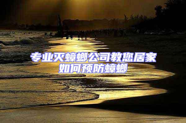 专业灭蟑螂公司教您居家如何预防蟑螂