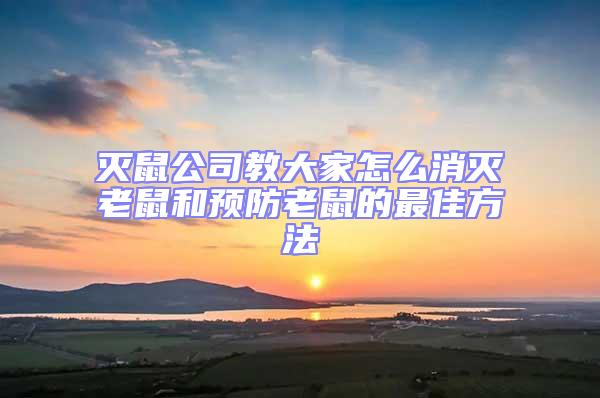 灭鼠公司教大家怎么消灭老鼠和预防老鼠的最佳方法