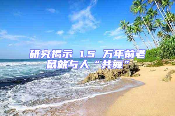 研究揭示 1.5 万年前老鼠就与人“共舞”