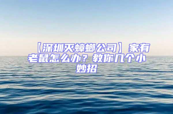 【深圳灭蟑螂公司】家有老鼠怎么办？教你几个小妙招