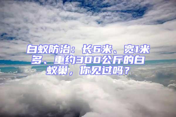 白蚁防治：长6米、宽1米多、重约300公斤的白蚁巢，你见过吗？