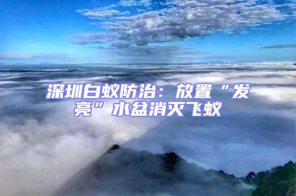 深圳白蚁防治：放置“发亮”水盆消灭飞蚁