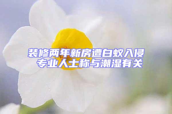 装修两年新房遭白蚁入侵 专业人士称与潮湿有关