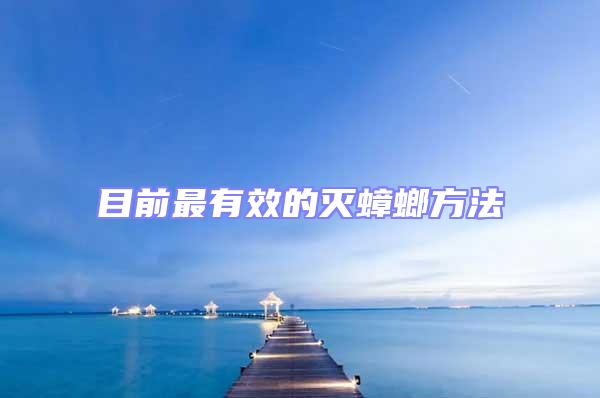 目前最有效的灭蟑螂方法