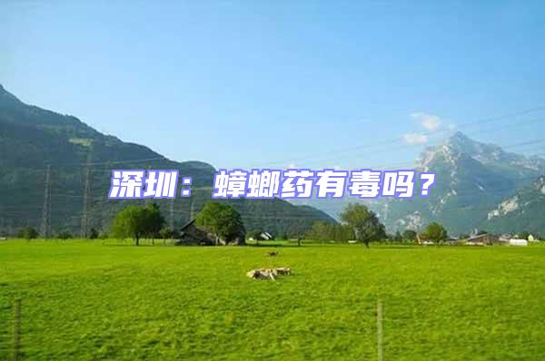 深圳：蟑螂药有毒吗？