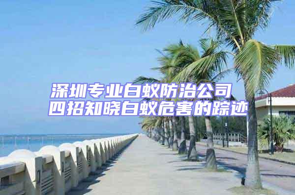 深圳专业白蚁防治公司 四招知晓白蚁危害的踪迹