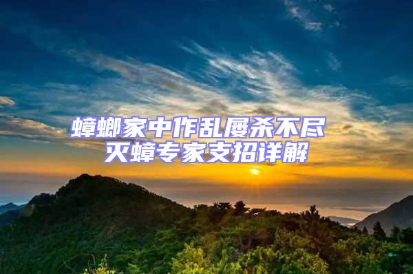 蟑螂家中作乱屡杀不尽 灭蟑专家支招详解