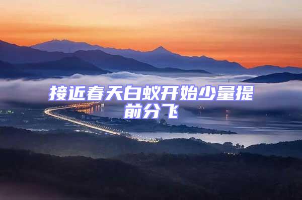 接近春天白蚁开始少量提前分飞