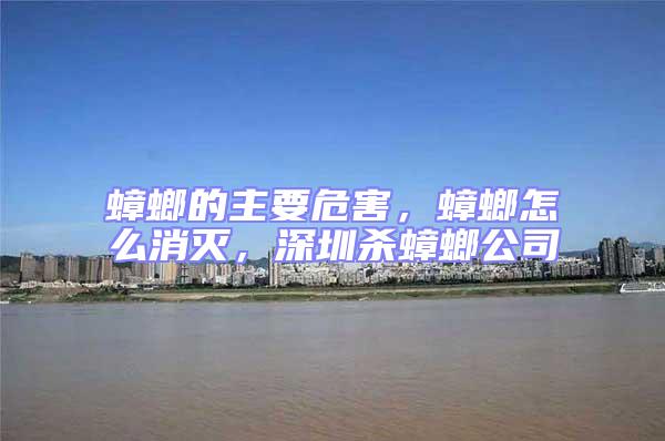 蟑螂的主要危害，蟑螂怎么消灭，深圳杀蟑螂公司