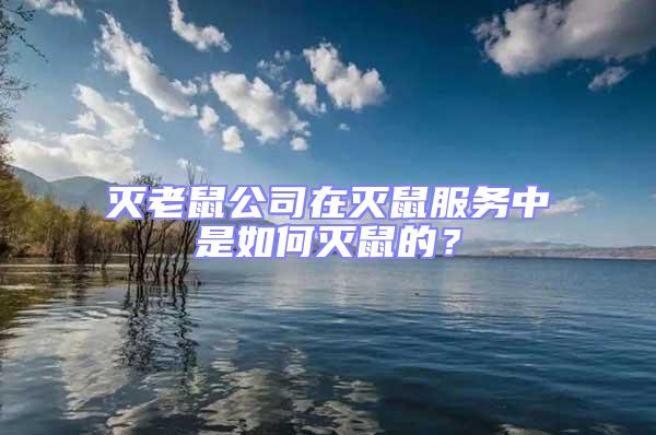 灭老鼠公司在灭鼠服务中是如何灭鼠的？