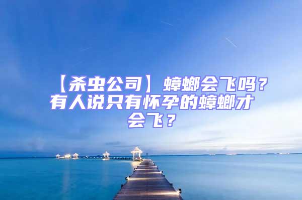 【杀虫公司】蟑螂会飞吗？有人说只有怀孕的蟑螂才会飞？