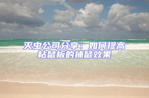 灭虫公司分享：如何提高粘鼠板的捕鼠效果