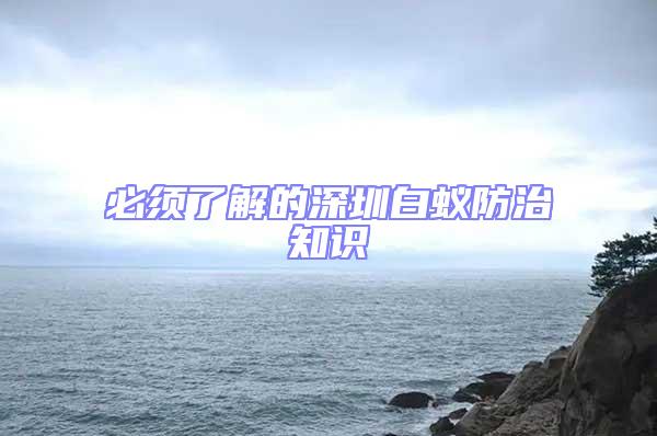 必须了解的深圳白蚁防治知识