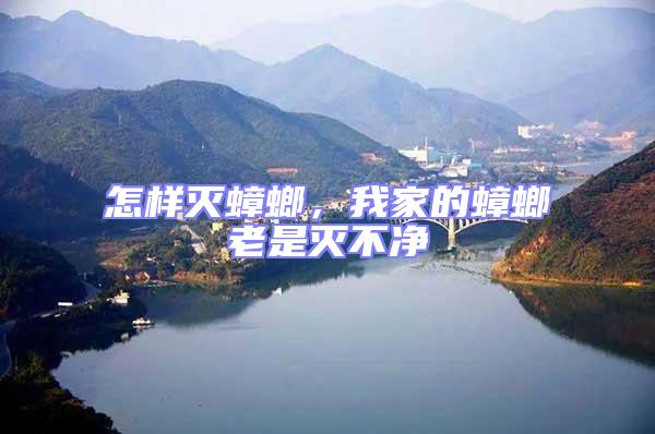 怎样灭蟑螂，我家的蟑螂老是灭不净