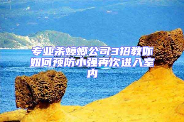 专业杀蟑螂公司3招教你如何预防小强再次进入室内