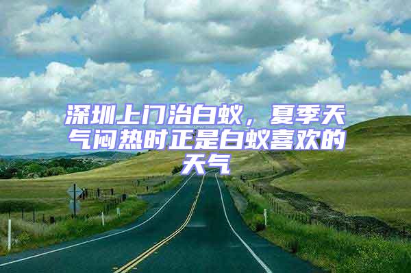 深圳上门治白蚁，夏季天气闷热时正是白蚁喜欢的天气