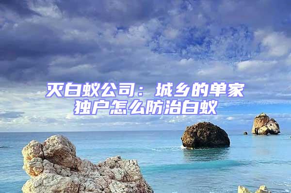 灭白蚁公司：城乡的单家独户怎么防治白蚁