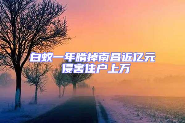 白蚁一年啃掉南昌近亿元 侵害住户上万