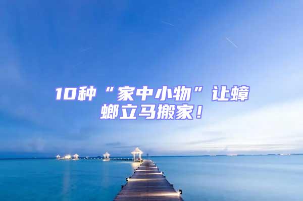 10种“家中小物”让蟑螂立马搬家！