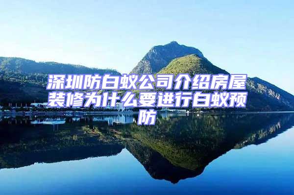 深圳防白蚁公司介绍房屋装修为什么要进行白蚁预防