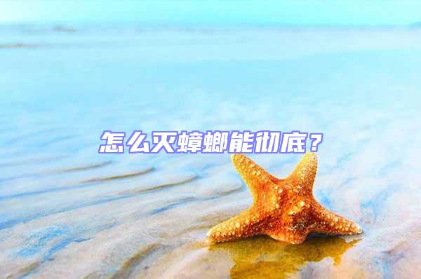 怎么灭蟑螂能彻底？