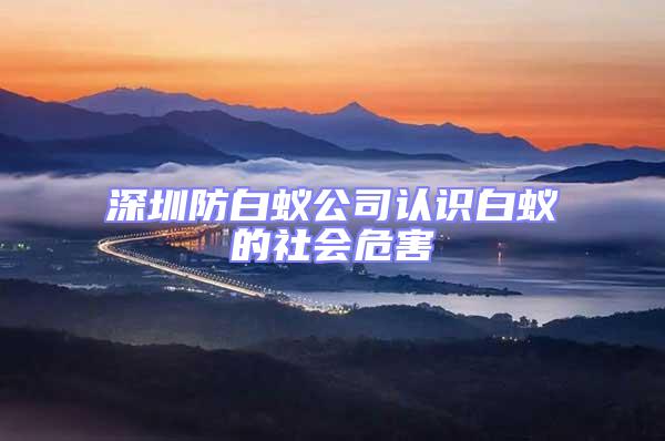 深圳防白蚁公司认识白蚁的社会危害