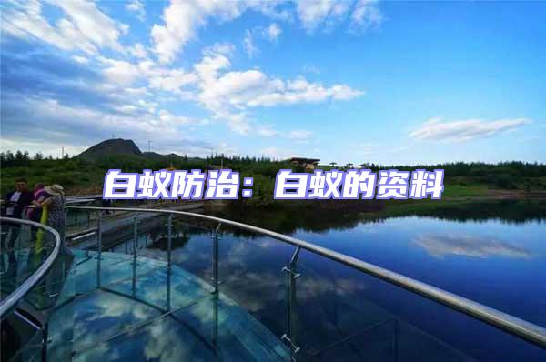 白蚁防治：白蚁的资料